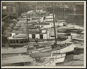 The boats comprising this floating village are tied up at the Warren avenue bridge. Each boat houses a family. High rents elsewhere are not a source of worry here.