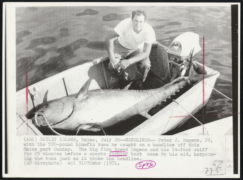 Handliner -- Peter J. Rogers, 29, with the 570-pound bluefin tuna he caught on a handline off this Maine port Sunday. The big fish towed Rogers and his 14-foot skiff for 25 minutes before a sports fishing boat came to his aid, harpooning the tuna just as it broke the handline.