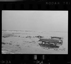 Plum Island storm damage