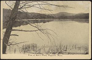 View of Hale's (Heald's) Pond, Pepperell