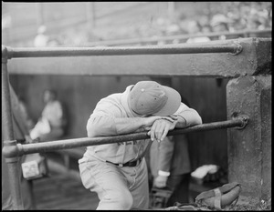 Bill Terry of the Giants hangs his head in shame