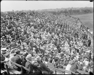 Baseball crowd at Harvard