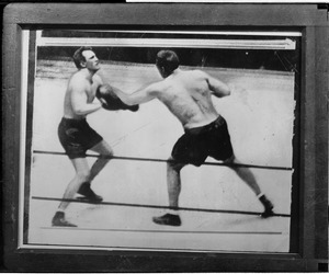 Schaaf's fatal blow by Primo Carnera the Italian giant