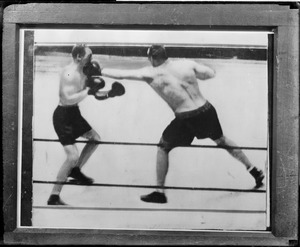 Schaaf's fatal blow by Primo Carnera the Italian giant in N.Y. Garden