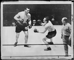 Schaaf's fatal blow by Primo Carnera the Italian giant in N.Y. Garden