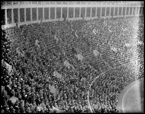 Crowd at Harvard Stadium