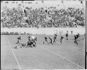Princeton vs. Harvard