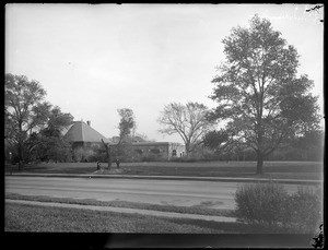 Distribution Department, Chestnut Hill Reservoir, work on English Elm trees along Beacon Street; looking towards garage and stone stable; laborers trimming, Brighton, Mass., Nov. 1920-1921