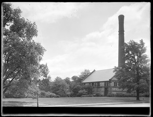 Distribution Department, Chestnut Hill Reservoir, work on English Elm trees along Beacon Street; looking towards Chestnut Hill High Service Pumping Station, Brighton, Mass., Nov. 1920-1921