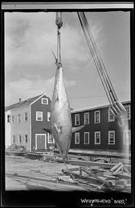 Marblehead, boatyards (vertical)