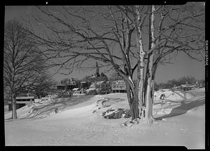 Marblehead, Abbot Hall in the distance, from Crocker Park plus tree, snow