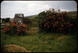 Graveyard, Castleisland