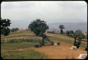 Fields around Roccasicura, Italy