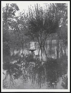 Floods