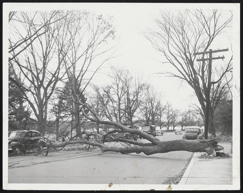 Weather - Winds. Damage.