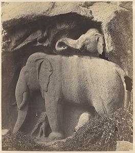 Elephants, peacock, and monkey carved on the rock to the right of the stone sculptures, Mahavellipooram