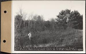 Contract No. 66, Regulating Dams, Middle Branch (New Salem), and East Branch of the Swift River, Hardwick and Petersham (formerly Dana), looking northerly 3/4 mile from Dana on Greenwich Road, east branch regulating dam, Hardwick, Mass., Nov. 10, 1938