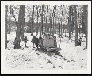 Girls check to see if buckets are nearly full. If they are, they are emptied into large tub on the horse-driven sled.
