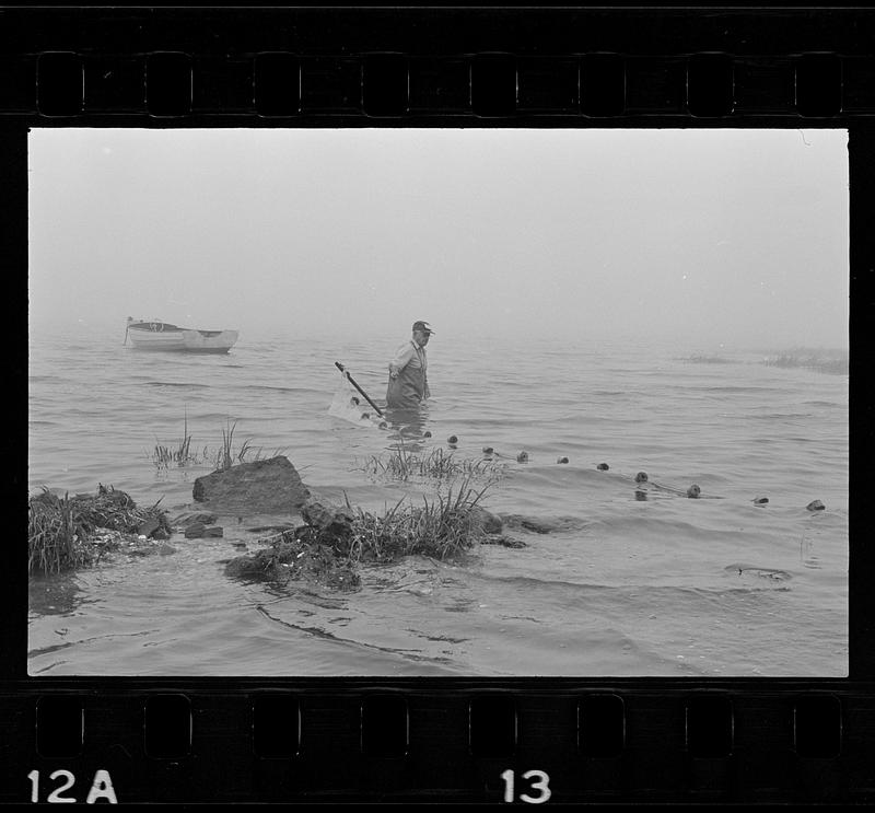 Minnow fisherman, Joppa