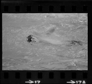 Swimmer in YWCA pool