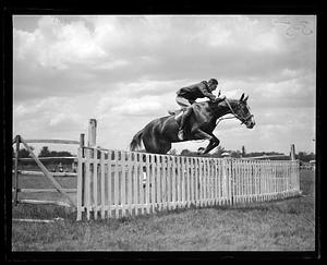 Horse jumping
