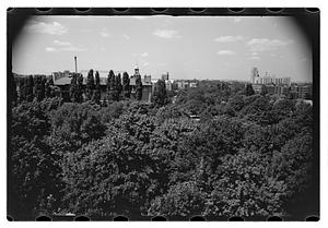 Black Forest and views from roof - Gertrude Sands
