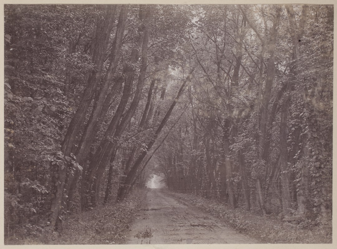 Photograph Album of the Newell Family of Newton, Massachusetts - Green Lodge Road -