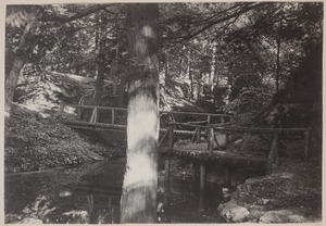 Photograph Album of the Newell Family of Newton, Massachusetts - Footbridge -