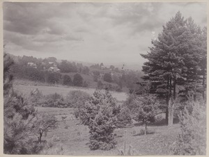 Photograph Album of the Newell Family of Newton, Massachusetts - Deerfield Valley -