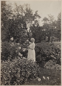 Photograph Album of the Newell Family of Newton, Massachusetts - Clara Ella Plimpton Newell in her Garden -