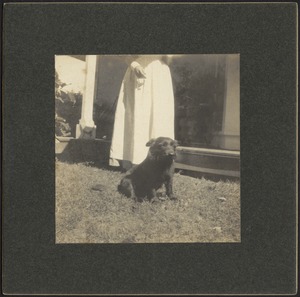 Scottie dog sitting on grass near porch; woman in white dress behind dog