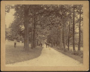Two women and man with horse in tree-lined drive; people playing tennis on left