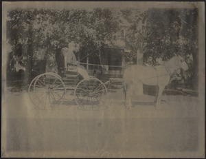 Ashdale Farm. Unidentified man in horse and buggy in front of house with awning.