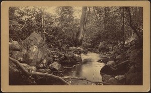 View of stream in woods; rocks along water