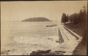 View of breakwater along coast with small island in distance; trees to the left