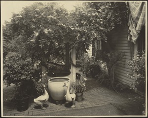 Ashdale Farm. Well and garden terrace with two ceramic geese and potted plants.