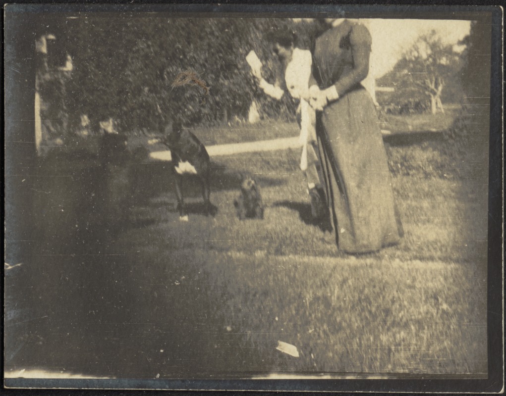 Ashdale Farm. Gertrude Stevens Kunhardt with dogs.