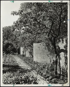 Serpentine Wall and garden path