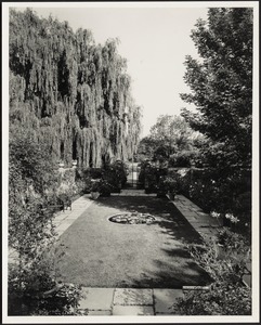 Ashdale Farm. View of Rose Garden looking towards gate entrance, willow trees on left