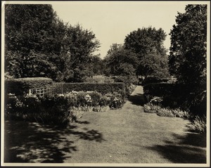 Perennial Garden; hedges