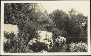 French Garden; Serpentine Wall on left