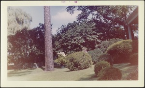 View of sloping lawn; trees; corner of back porch