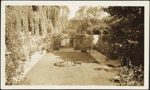 Ashdale Farm. View of rose garden from stairs; reflecting pool; willow trees