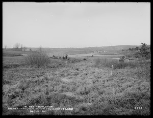 Wachusett Reservoir, swamp improvement on Felix Defoe land, Boylston, Mass., Dec. 15, 1900