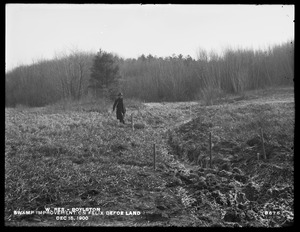 Wachusett Reservoir, swamp improvement on Felix Defoe land, Boylston, Mass., Dec. 15, 1900