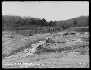 Wachusett Reservoir, Swamp improvement on Felix Defoe land, Boylston, Mass., Dec. 15, 1900