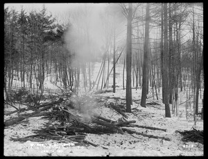 Wachusett Reservoir, clearing the 40-foot fire line 106D, looking northeast, West Boylston, Mass., Jan. 14, 1901