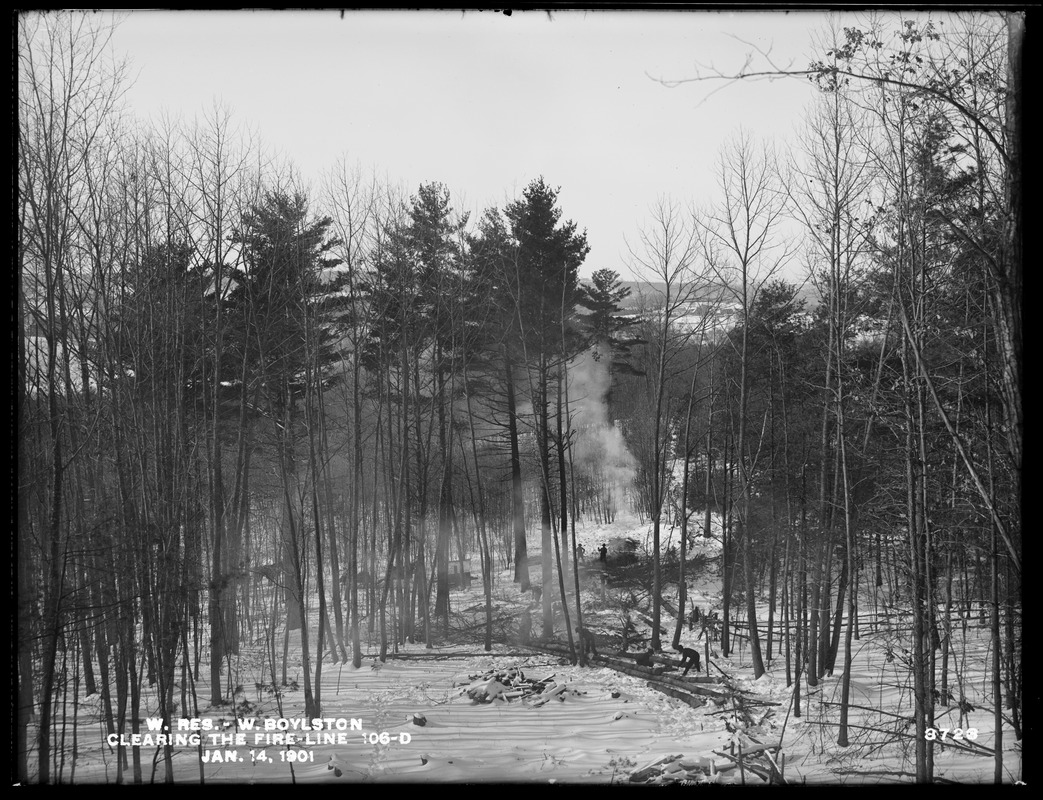 Wachusett Reservoir, clearing the 40-foot fire line 106D, looking southwest, West Boylston, Mass., Jan. 14, 1901