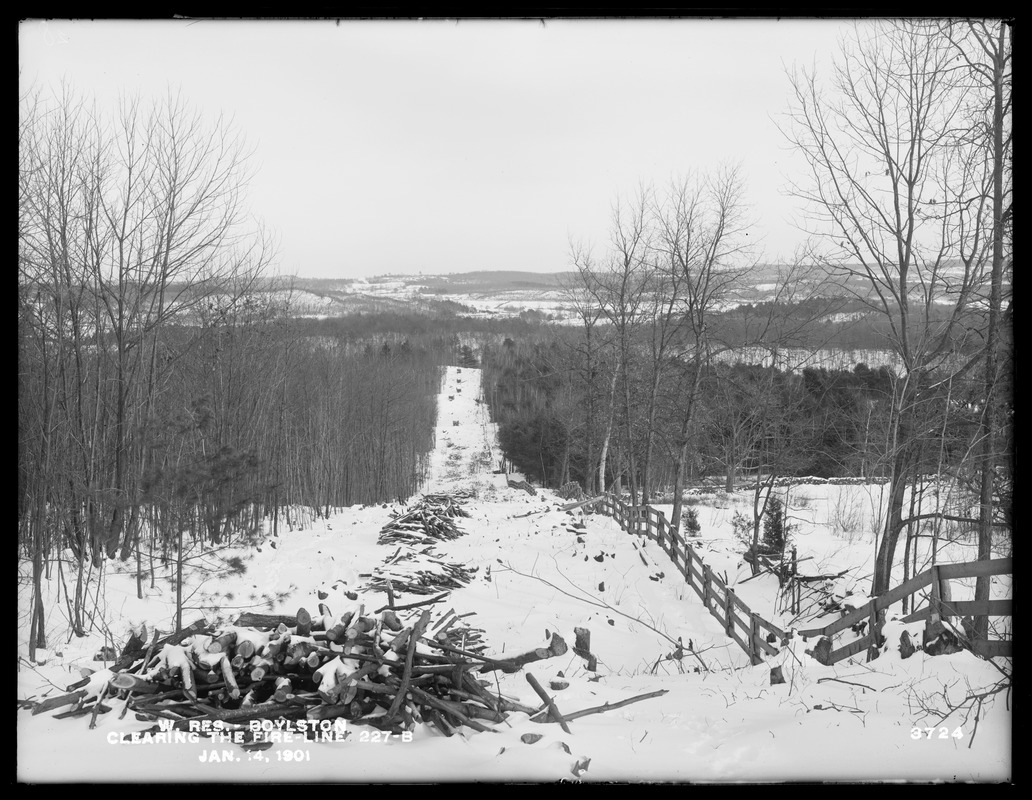 Wachusett Reservoir, clearing the 40-foot fire line 227B, looking east, Boylston, Mass., Jan. 14, 1901