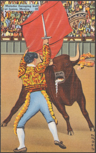 Matador enraging bull at Juarez, Mexico